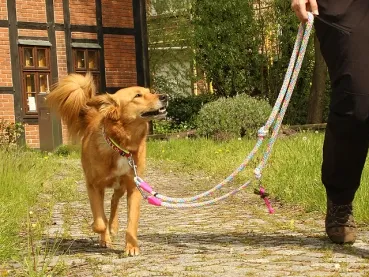 eRPaki ROPE Hundeleine 8mm - verstellbar
