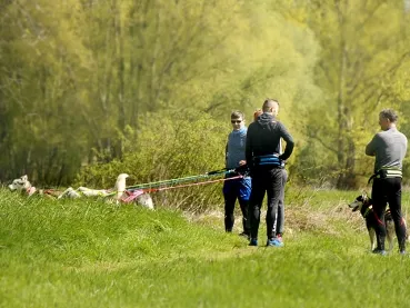 eRPaki PRO Jogginggurt Laufgurt CANICROSS
