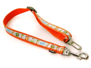 eRPaki Borte Autogurt 25mm