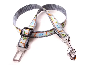 eRPaki Borte Autogurt 25mm