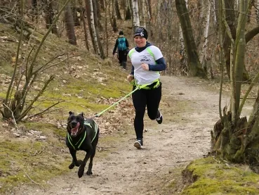 eRPaki PRO Laufgurt Trekkinggurt mit Handytasche DOGTREKKING eRPaki PRO Laufgurt Trekkinggurt mit Handytasche DOGTREKKING
