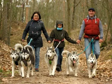 eRPaki PRO Laufgurt Trekkinggurt mit Handytasche DOGTREKKING eRPaki PRO Laufgurt Trekkinggurt mit Handytasche DOGTREKKING