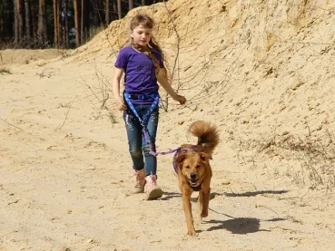 eRPaki Kinder Bauchgurt Dogtrekking