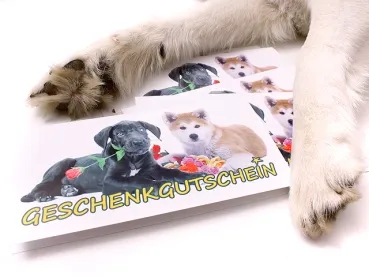 eRPaki Print-Geschenkgutschein 20 EUR