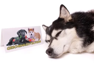 eRPaki Print-Geschenkgutschein 20 EUR