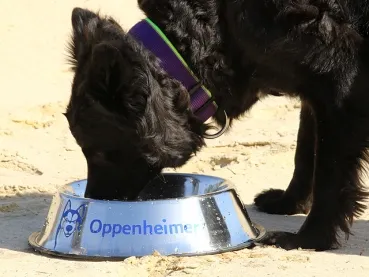 eRPaki® PRO Hundehalsband Langhaar 30mm - Reflektor