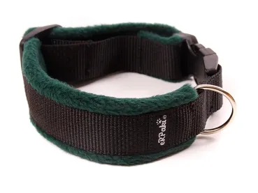 Hundehalsband schwarz mit Klickverschluss gepolstert mit Fleece dunkelgrün