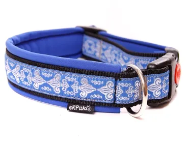 Hundehalsband mit Sicherheitsverschluss und Borte Fleur de Lis silber blau