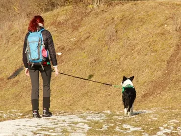 Ergonomischer Hüftgurt für Menschen für Dogtrekking – rückenschonende Haltung durch tiefen Sitz.
