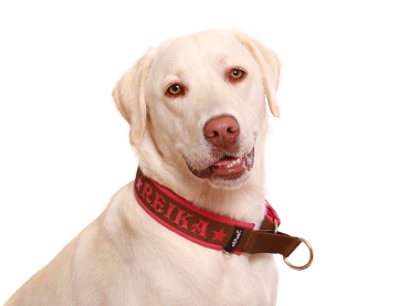 Preview: eRPaki PRO Namenshalsband Zugstop 30mm