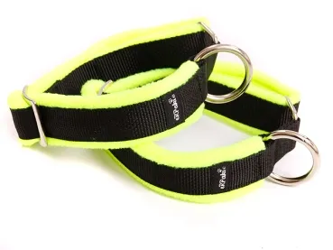 Hundehalsband geschlossen ohne Zugstopp und Verschluss in Farbe schwarz neongelb