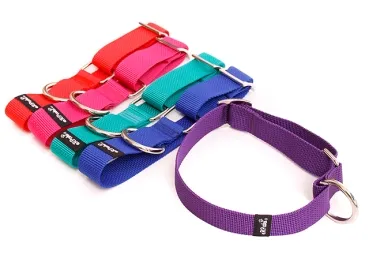eRPaki Hundehalsband geschlossen 30mm OP