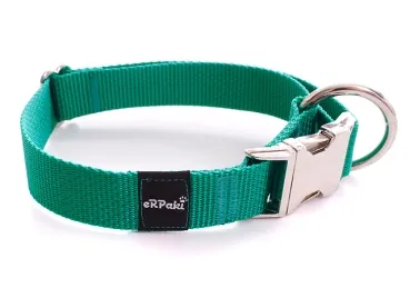 eRPaki BASIC Hundehalsband Langhaar 20mm grün