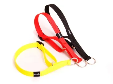 eRPaki Hundehalsband Zugstop 20mm OP
