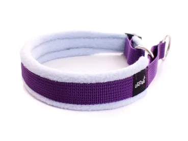 eRPaki Hundehalsband Zugstop 20mm MP