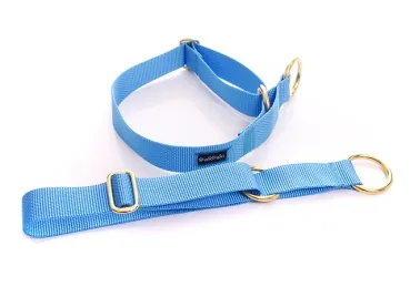 eRPaki Hundehalsband Zugstop 30mm OP