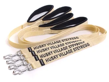 eRPaki Hundeleine mit Namensbestickung 25mm MP
