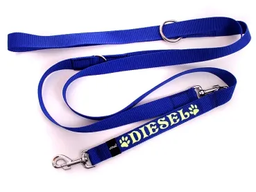 eRPaki Hundeleine mit Namensbestickung 30mm - verstellbar