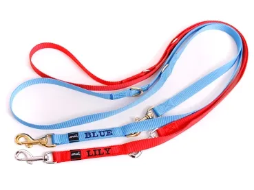 eRPaki Hundeleine mit Namensbestickung 20mm - verstellbar