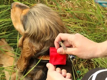 eRPaki Identifikationsmarke - Lasergravur
