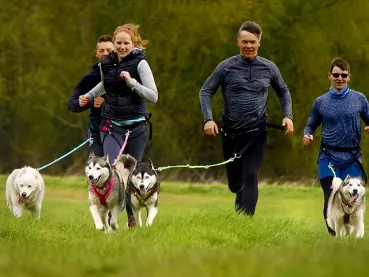 eRPaki PRO Jogginggurt Laufgurt CANICROSS