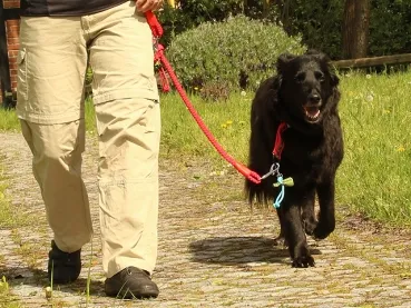 eRPaki Kotbeutelhalter - helltürkis eRPaki Kotbeutelhalter - helltürkis