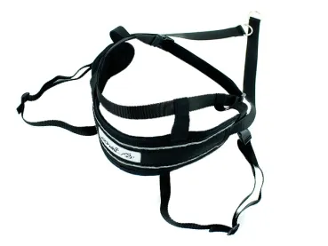 Sicheres Zwei-Ring-System am eRPaki Hüftgurt für maximale Belastung im Zughundesport.