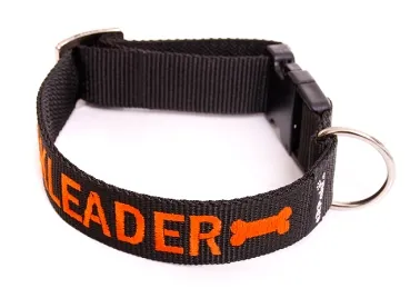 eRPaki BASIC Namenshalsband Klick 30mm eRPaki BASIC Namenshalsband Klick 30mm