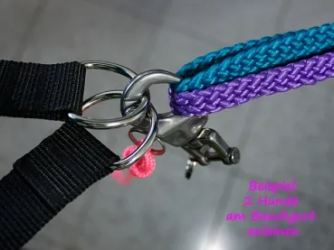 eRPaki ROPE Panikhaken Canicross eRPaki ROPE Panikhaken Canicross