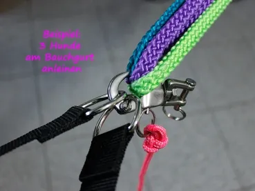 eRPaki ROPE Panikhaken Canicross eRPaki ROPE Panikhaken Canicross
