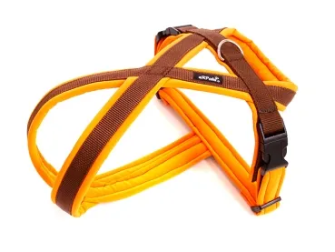 eRPaki PRO Flyball-Geschirr Double-Klick 20mm