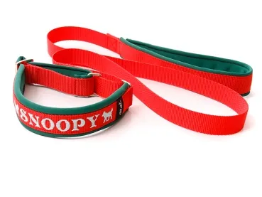 eRPaki PRO Agility-Leine mit Bestickung 30mm