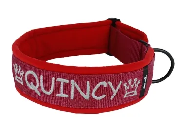 breites personalisiertes Sport Hundehalsband ohne Verschluss und Zugstopp in Farbe weinrot rot Ringe schwarz