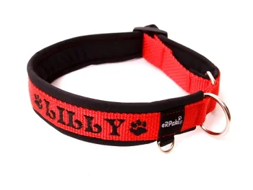 eRPaki PRO Namenshalsband geschlossen 20mm