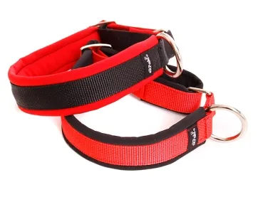 Sport Hundehalsbänder fest genäht ohne Zugstopp und Verschluss in Farbe rot und schwarz