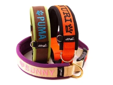 eRPaki PRO Namenshalsband Klick 25mm