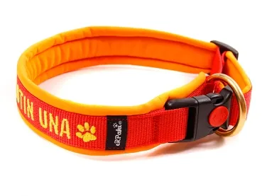 eRPaki PRO Namenshalsband Langhaar 25mm eRPaki PRO Namenshalsband Langhaar 25mm