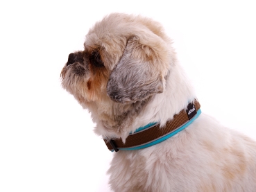 eRPaki PRO Hundehalsband Klick 15mm - Reflektor