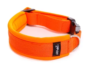 eRPaki PRO Hundehalsband Klick 25mm