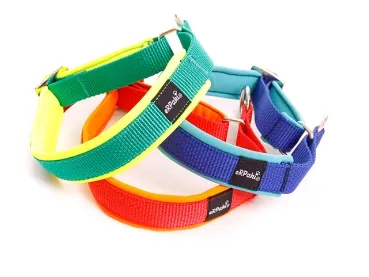 eRPaki PRO Hundehalsband Zugstop 20mm
