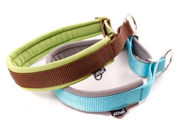 eRPaki PRO Hundehalsband Zugstop 20mm
