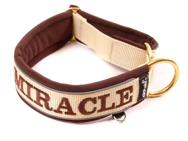 eRPaki PRO Namenshalsband geschlossen 30mm - Reflektor