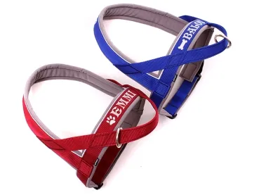 eRPaki PRO Norwegergeschirr 30/40 mit Namensbestickung - Reflektor eRPaki PRO Norwegergeschirr 30/40 mit Namensbestickung - Reflektor