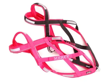 eRPaki Zuggeschirr PRO MAXI 30 bestickt - Reflektor