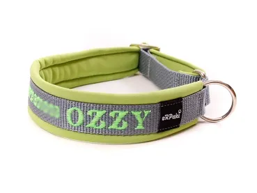 eRPaki PRO Namenshalsband geschlossen 20mm