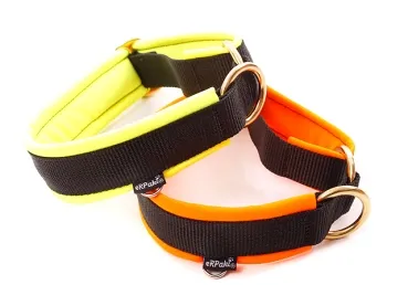 robuste Sport Halsbänder für Hunde ohne Verschluss und Zugstopp in Farbe schwarz gepolstert mit Softshell neon