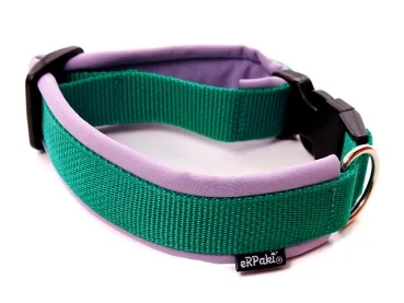 eRPaki PRO Hundehalsband Klick 25mm