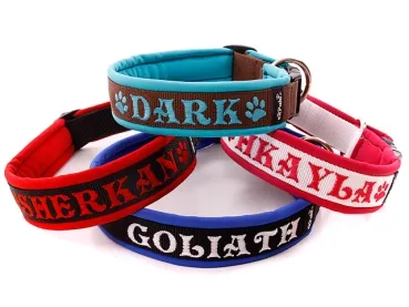 eRPaki PRO Namenshalsband Langhaar 30mm eRPaki PRO Namenshalsband Langhaar 30mm