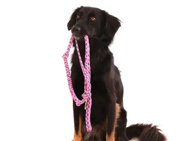 eRPaki MEDIUM Joggingleine mit Ruckdämpfer 8mm