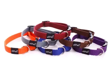 eRPaki BASIC Hundehalsband Klick 15mm